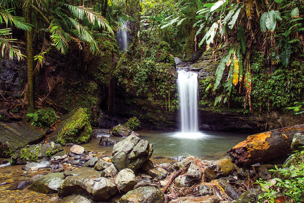 juan-diego-falls-caribe