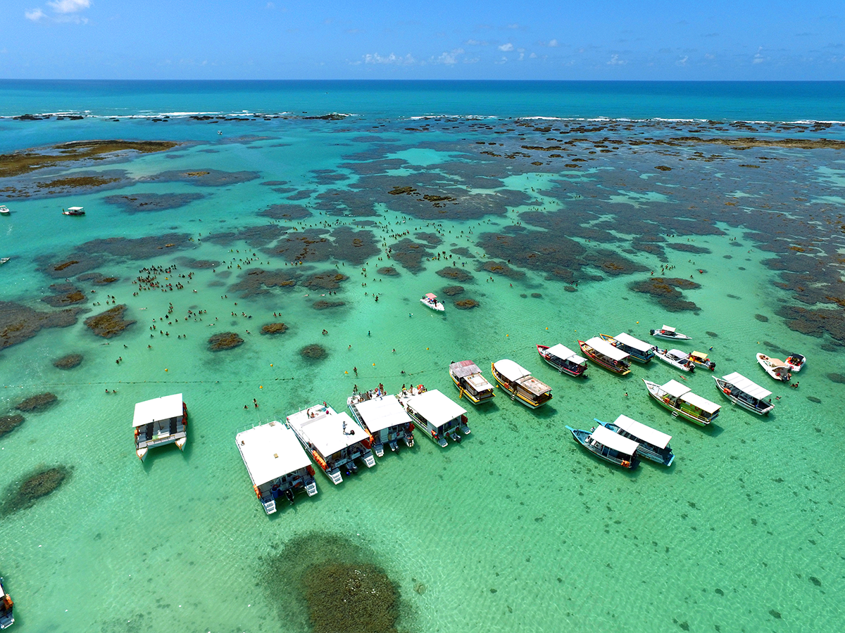 vista superior das piscinas naturais de Maraggogi, a imagem possui barcos, turistas e plantas na água