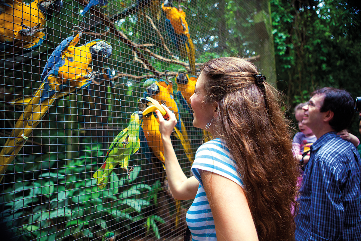 parque-aves-foz-iguacu