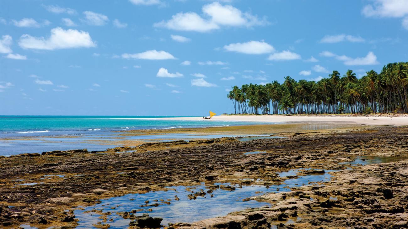 praia-deserta-pernambuco