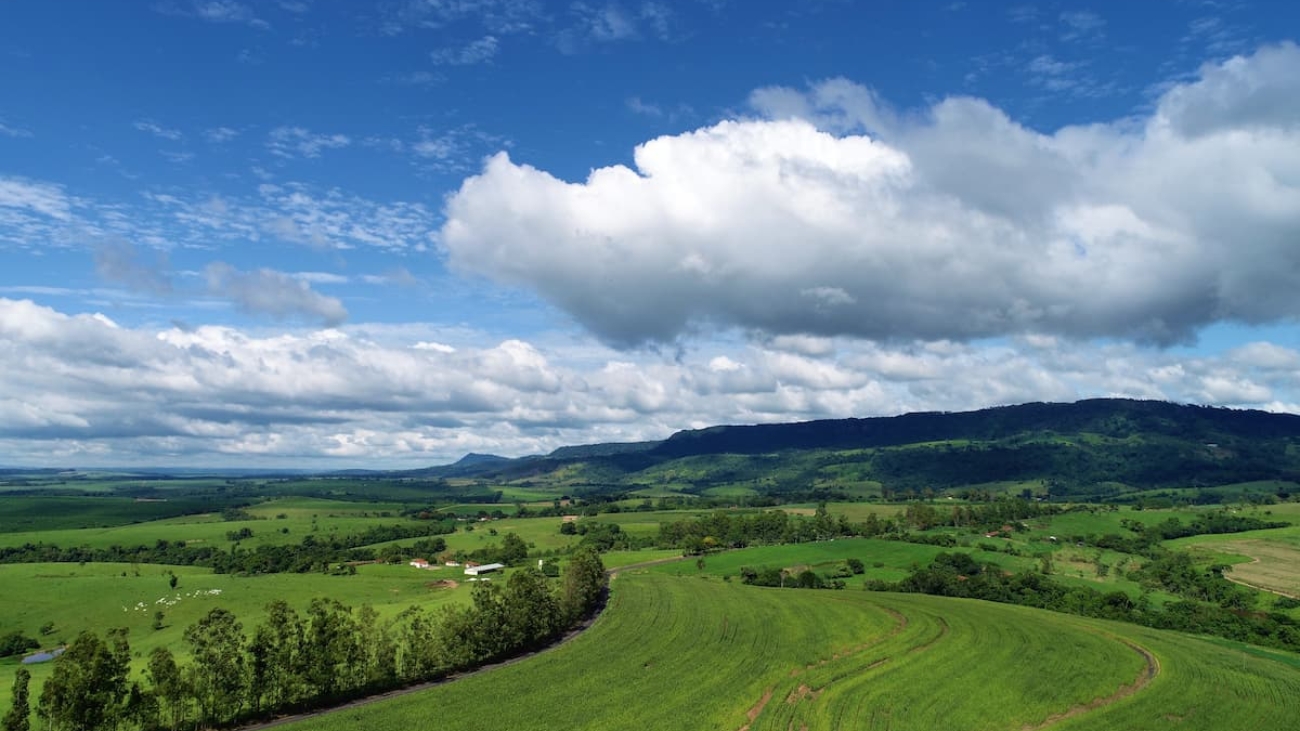 shutterstock_1276115857