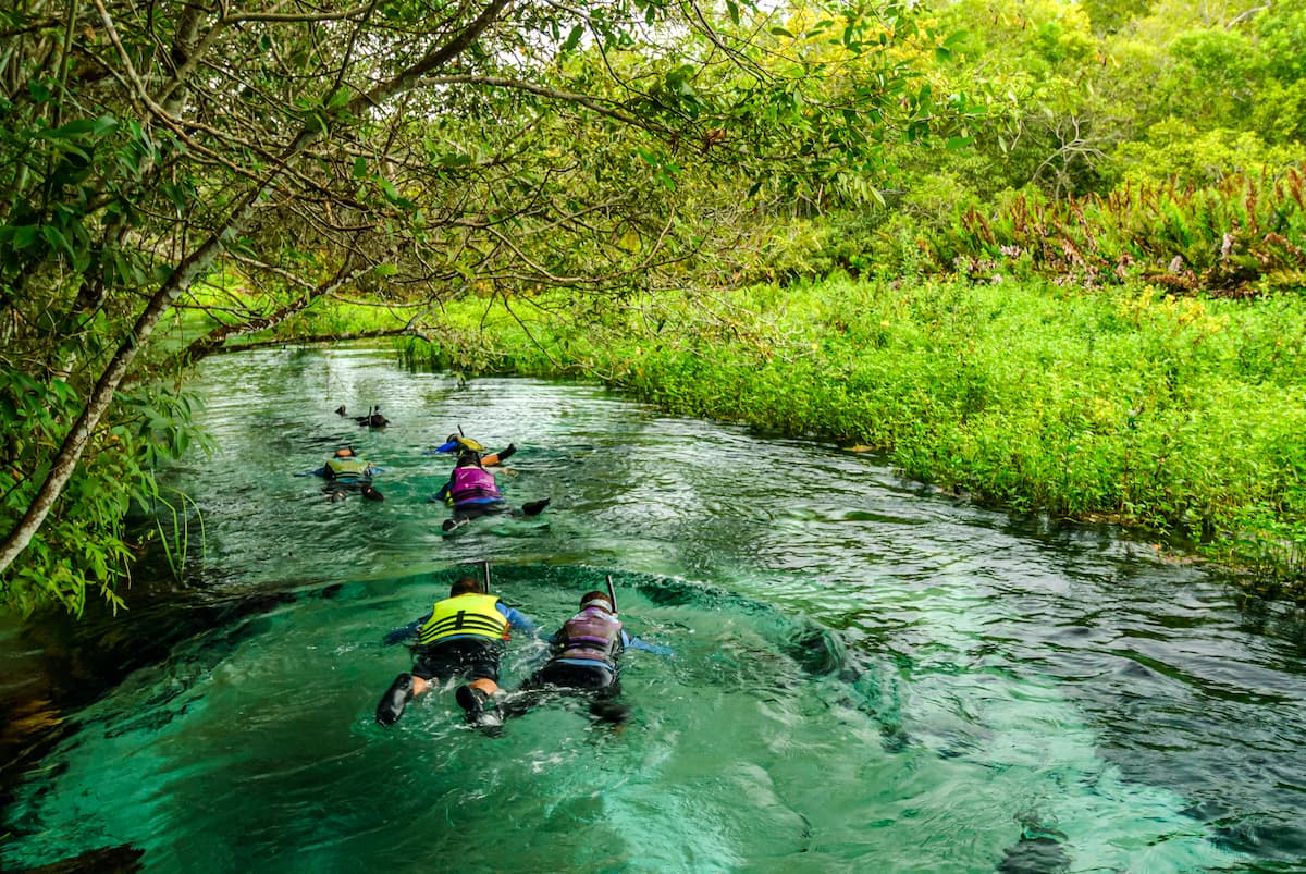 Turistas flutuando no Rio Formoso em Bonito