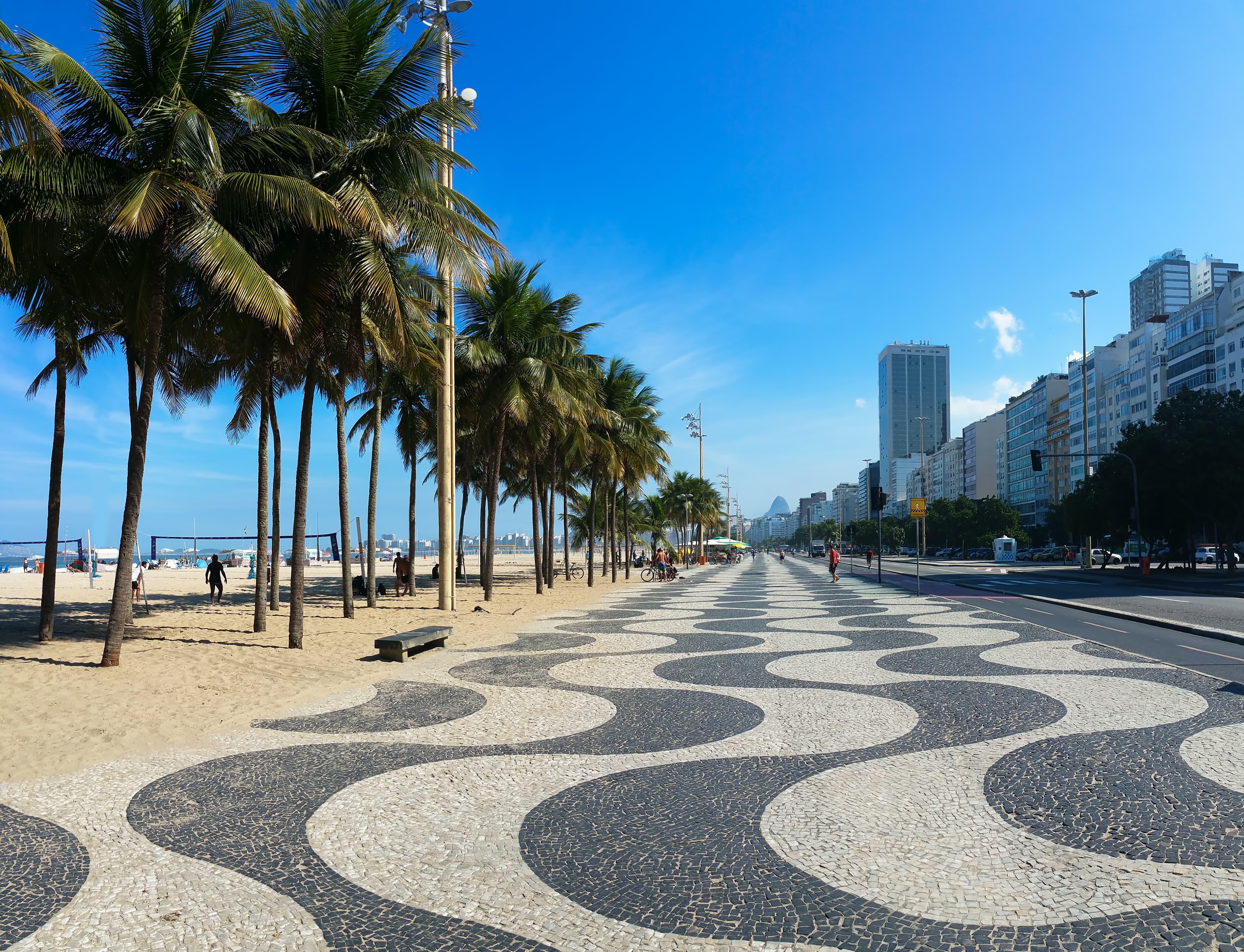 coconut-trees-copacabana-beach-rio-de-janeiro-brazil (1)