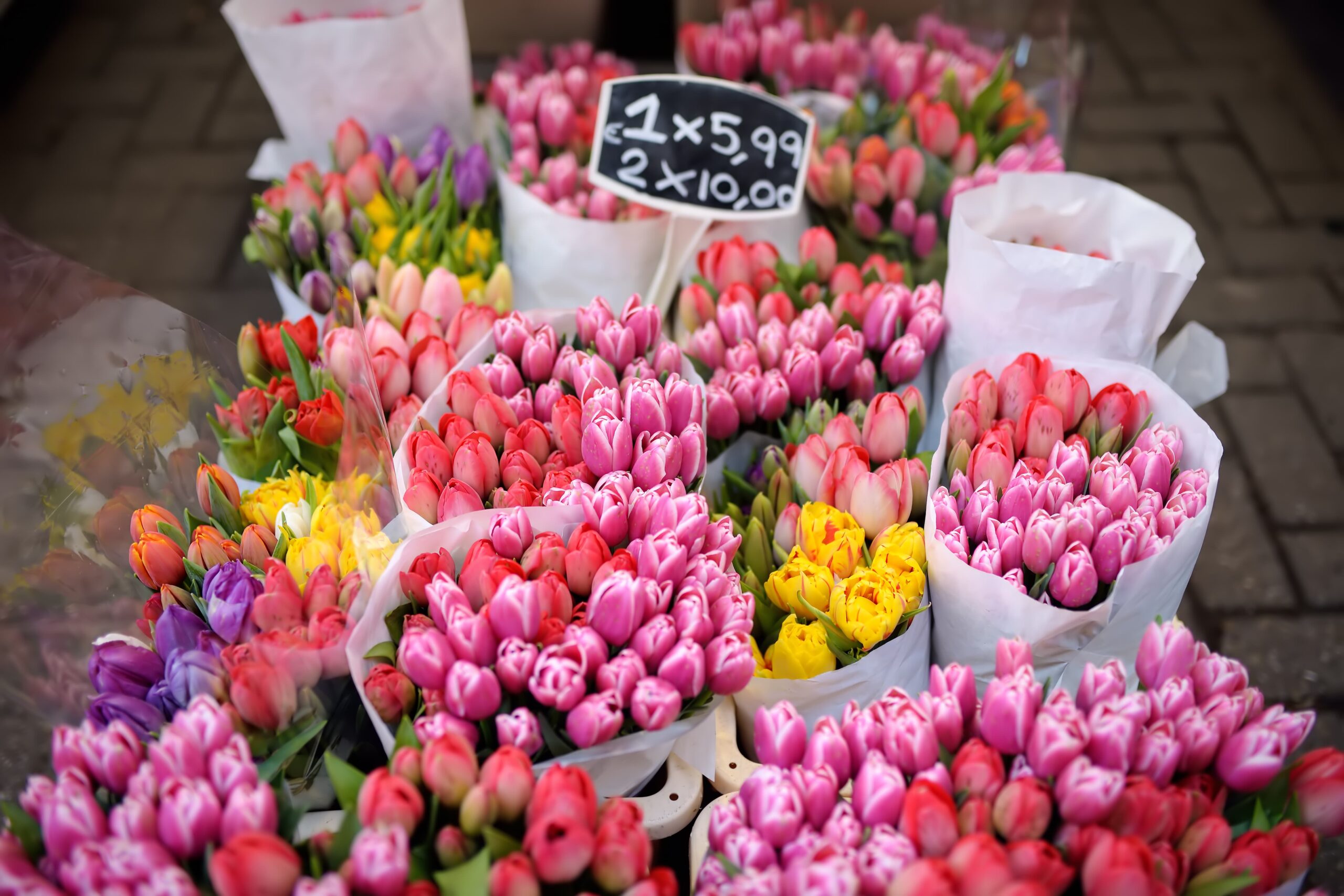 famous-amsterdam-flower-market-bloemenmarkt-multicolor-tulips (1)