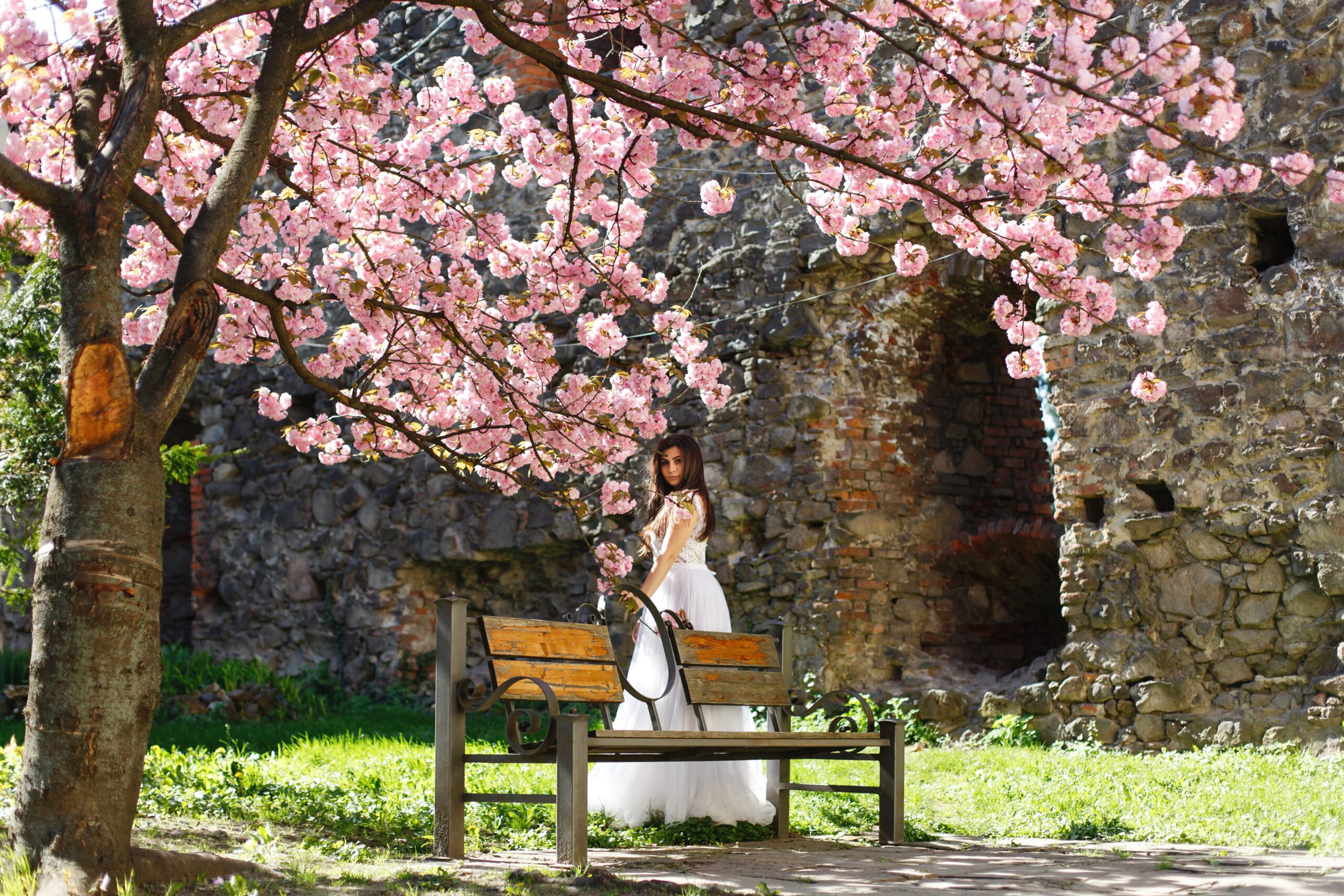 girl-white-dress-stands-pink-blooming-sakura-tree-park (1)