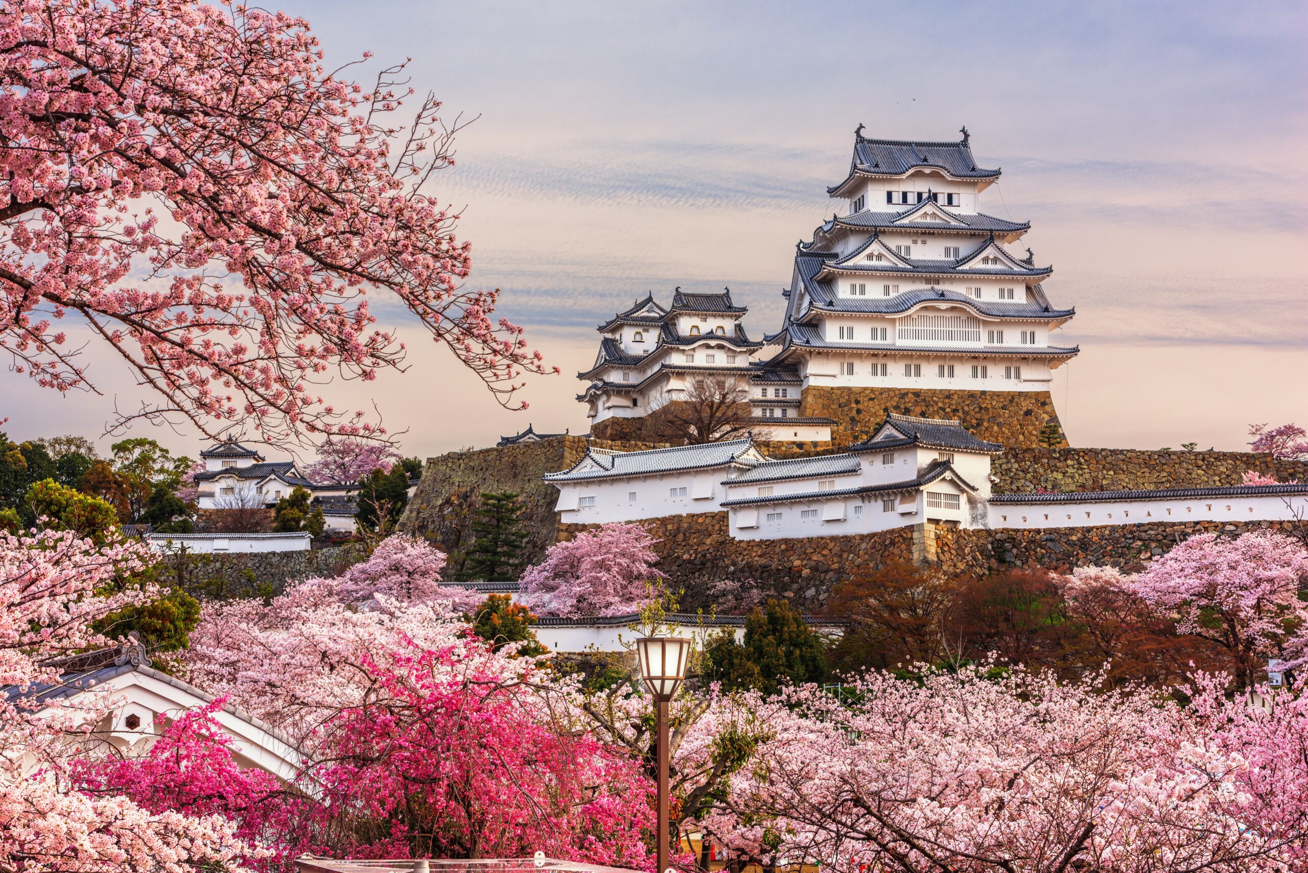 himeji-japan-himeji-castle-spring-cherry-blossom-season (1)