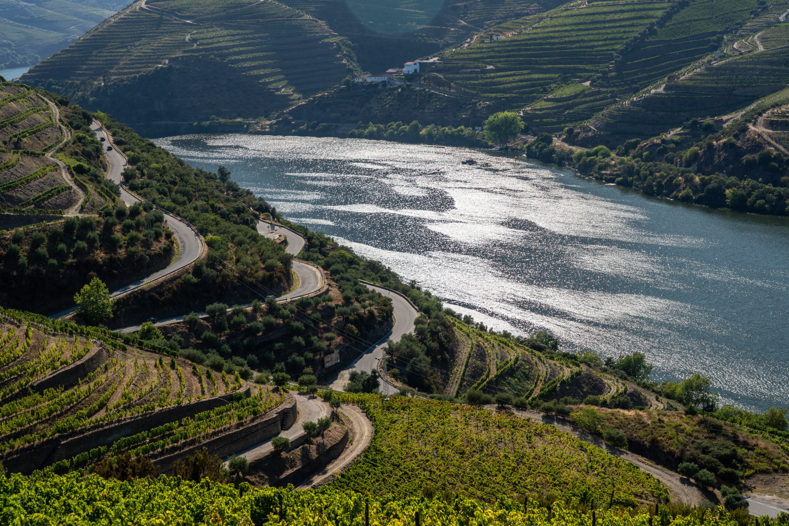 Rows of grape vines line the valley of the River Douro in Portugal