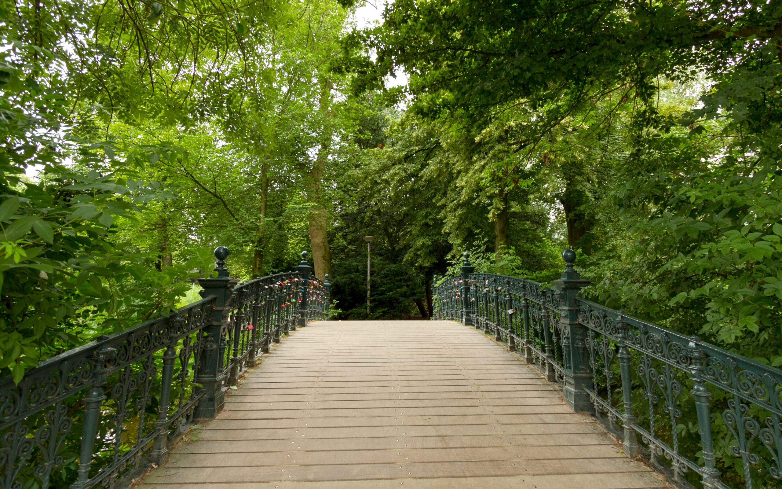 wooden-bridge-vondelpark-amsterdam (1)