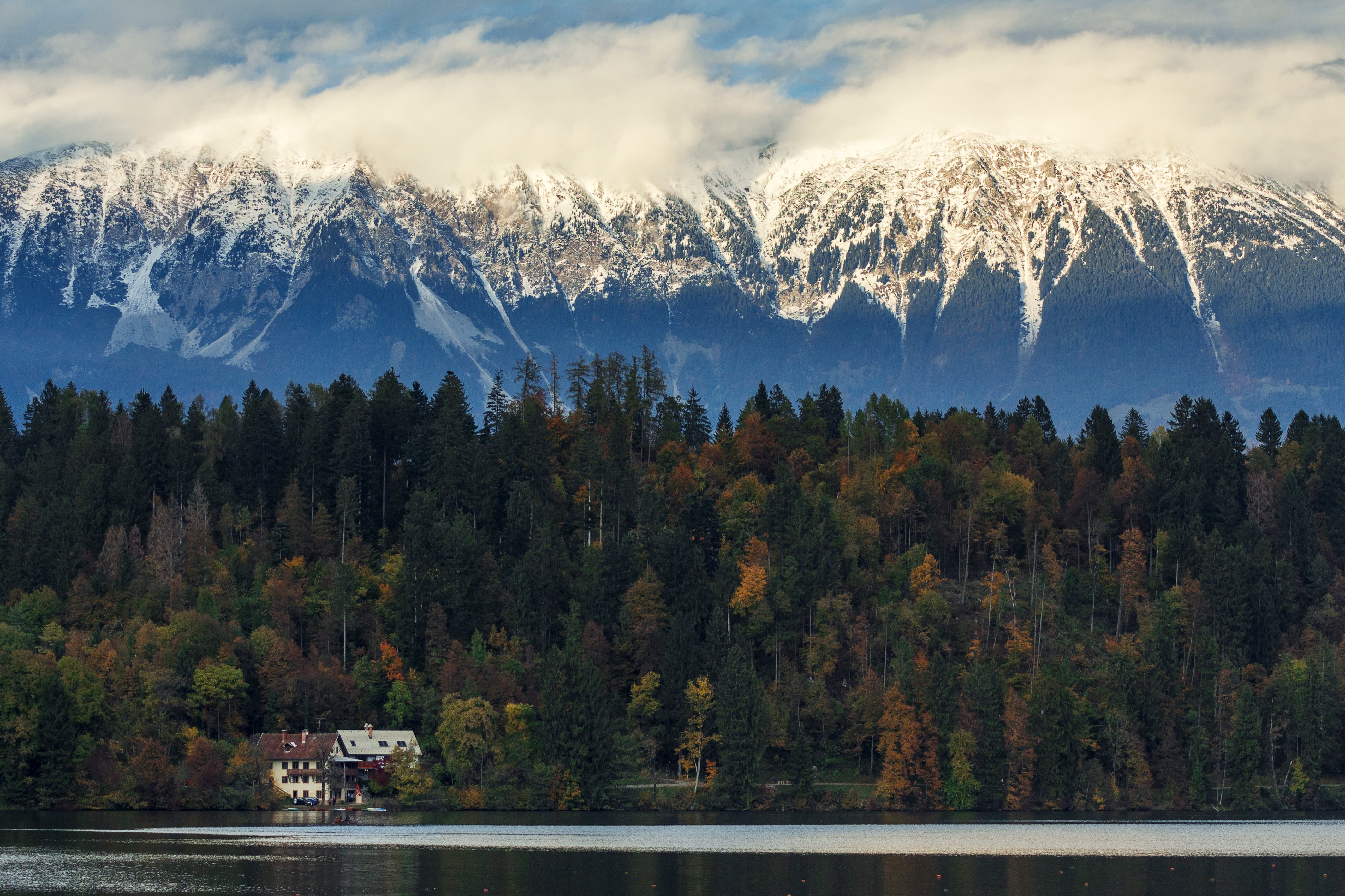 beautiful-tree-forest-near-lake-with-snowy-mountains-background-bled-slovenia (1)