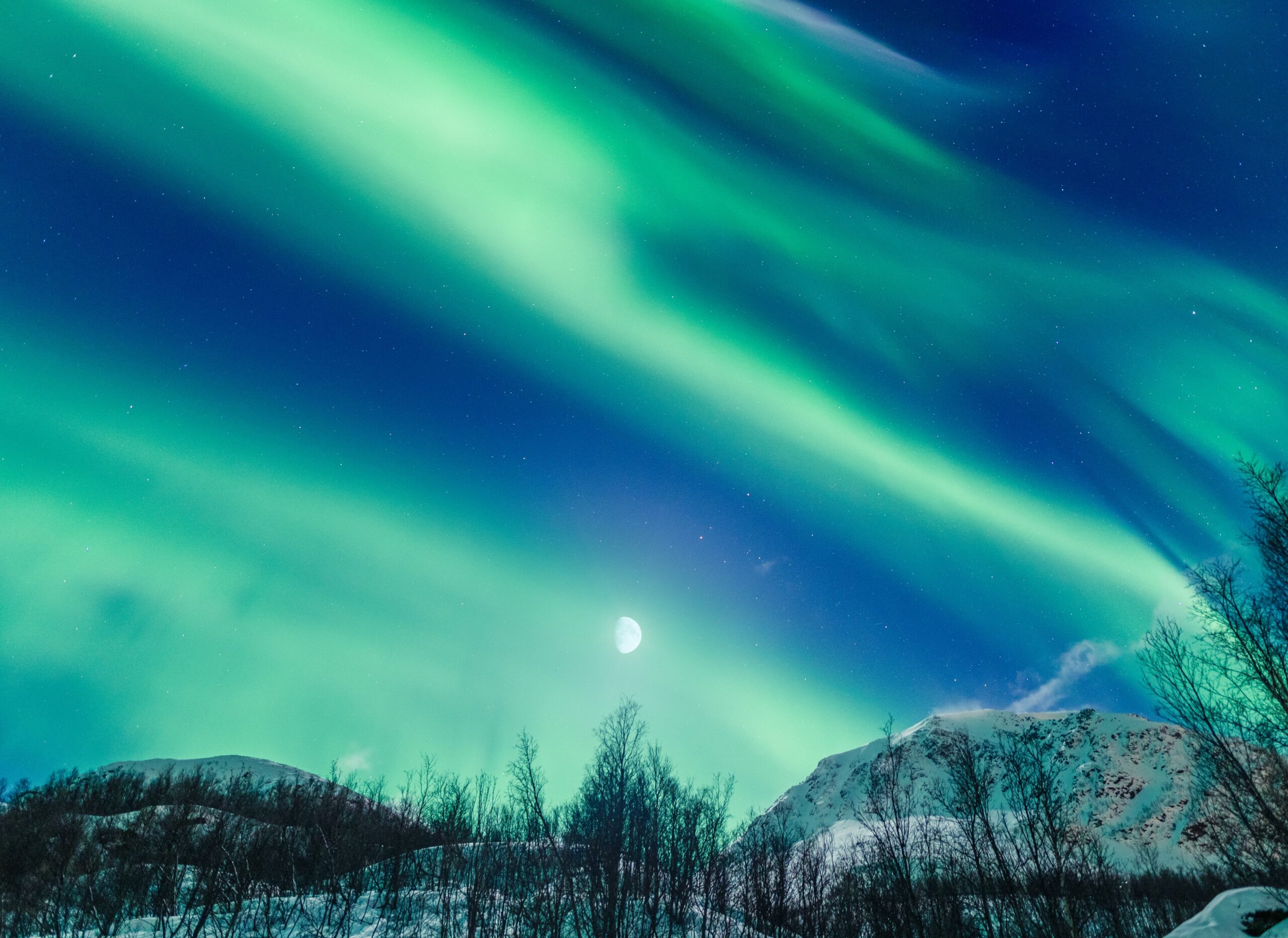 beautiful-view-night-winter-landscape-with-aurora-borealis-moon-tromso (1)