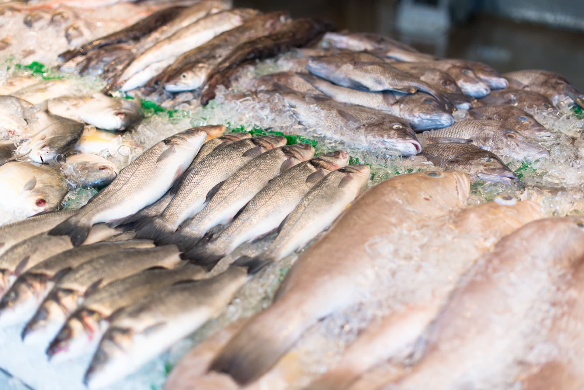 Peixe cru no mercado (1)