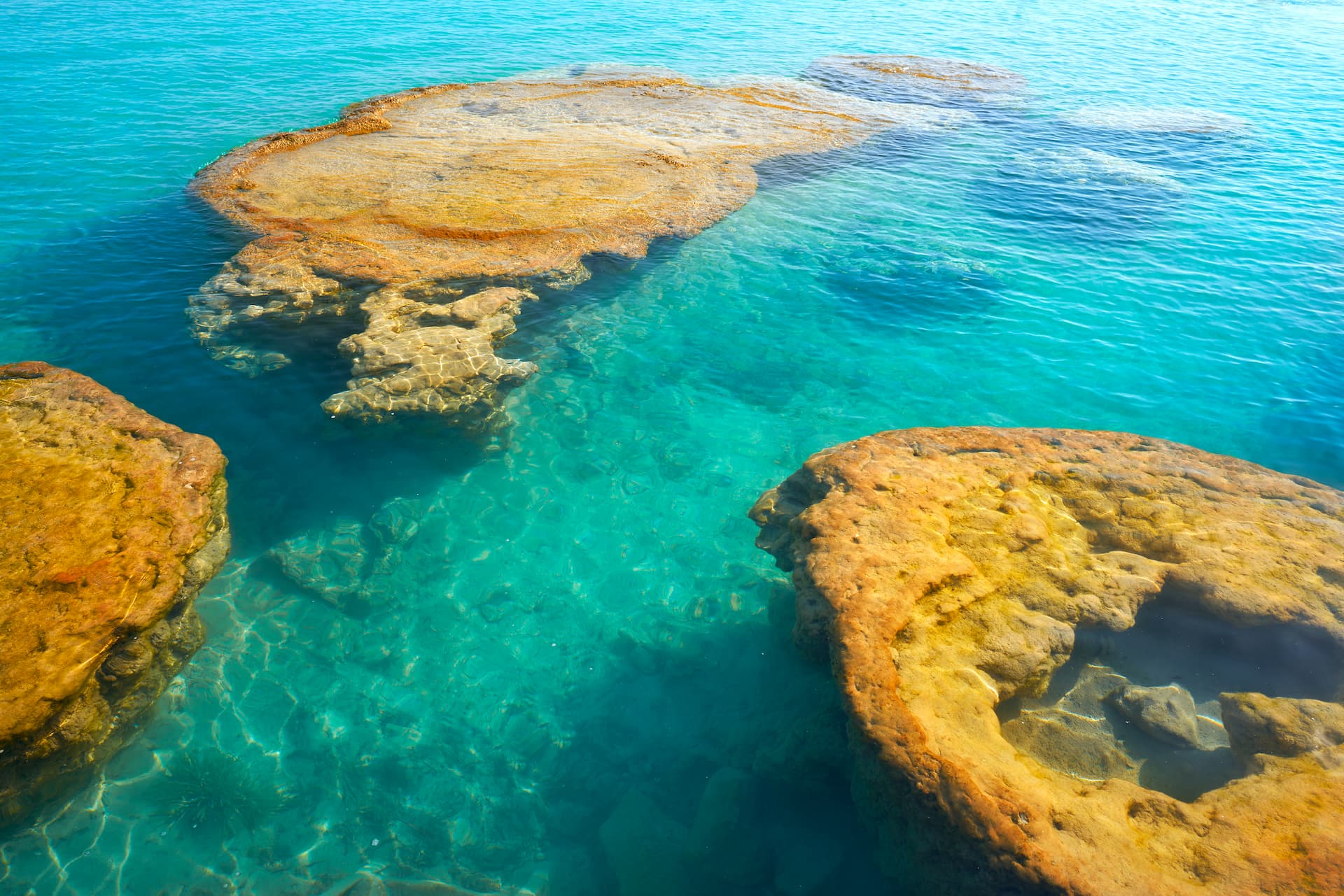 Estromatólitos em Bacalar