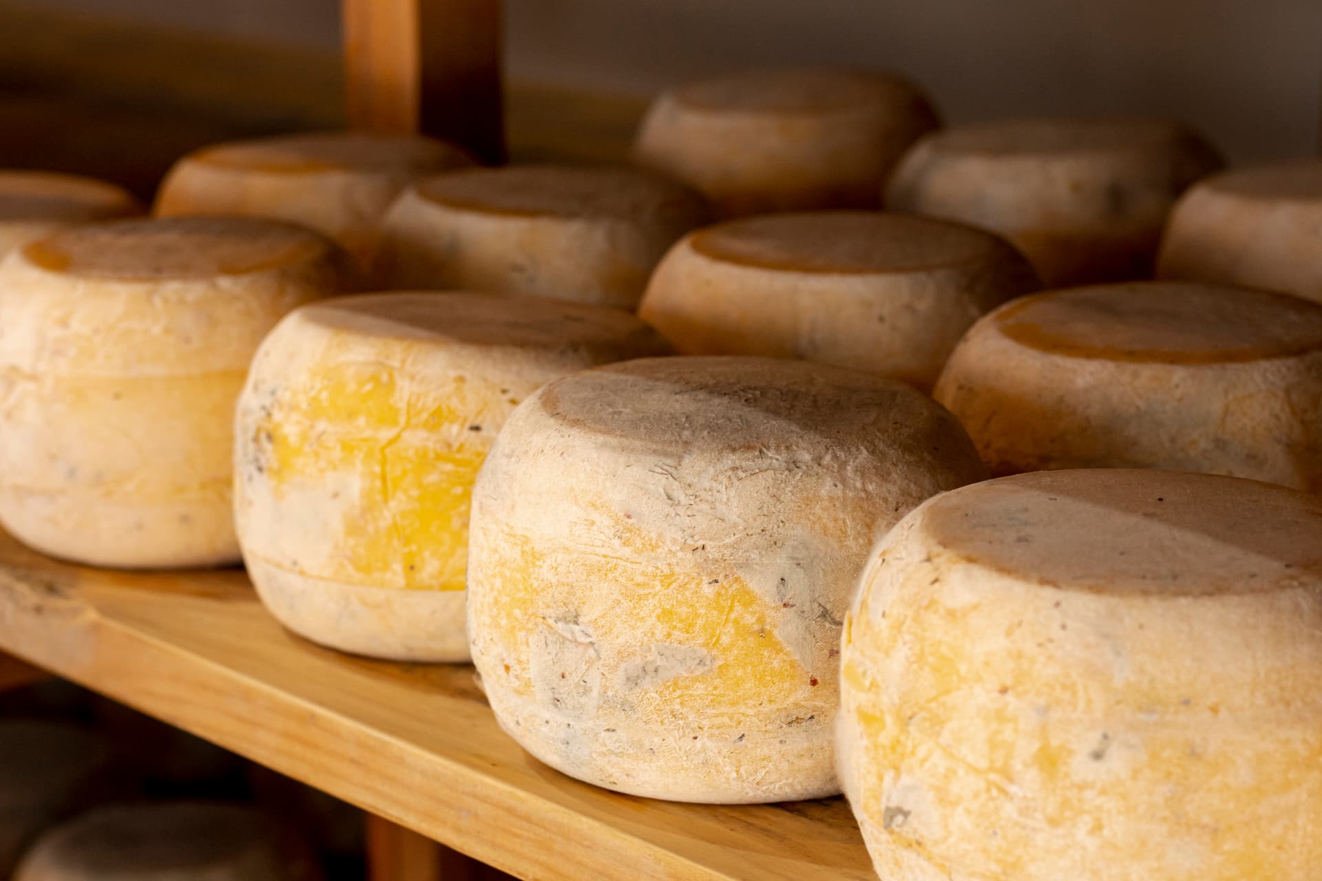 close-up-matured-cheese-wheels (1)