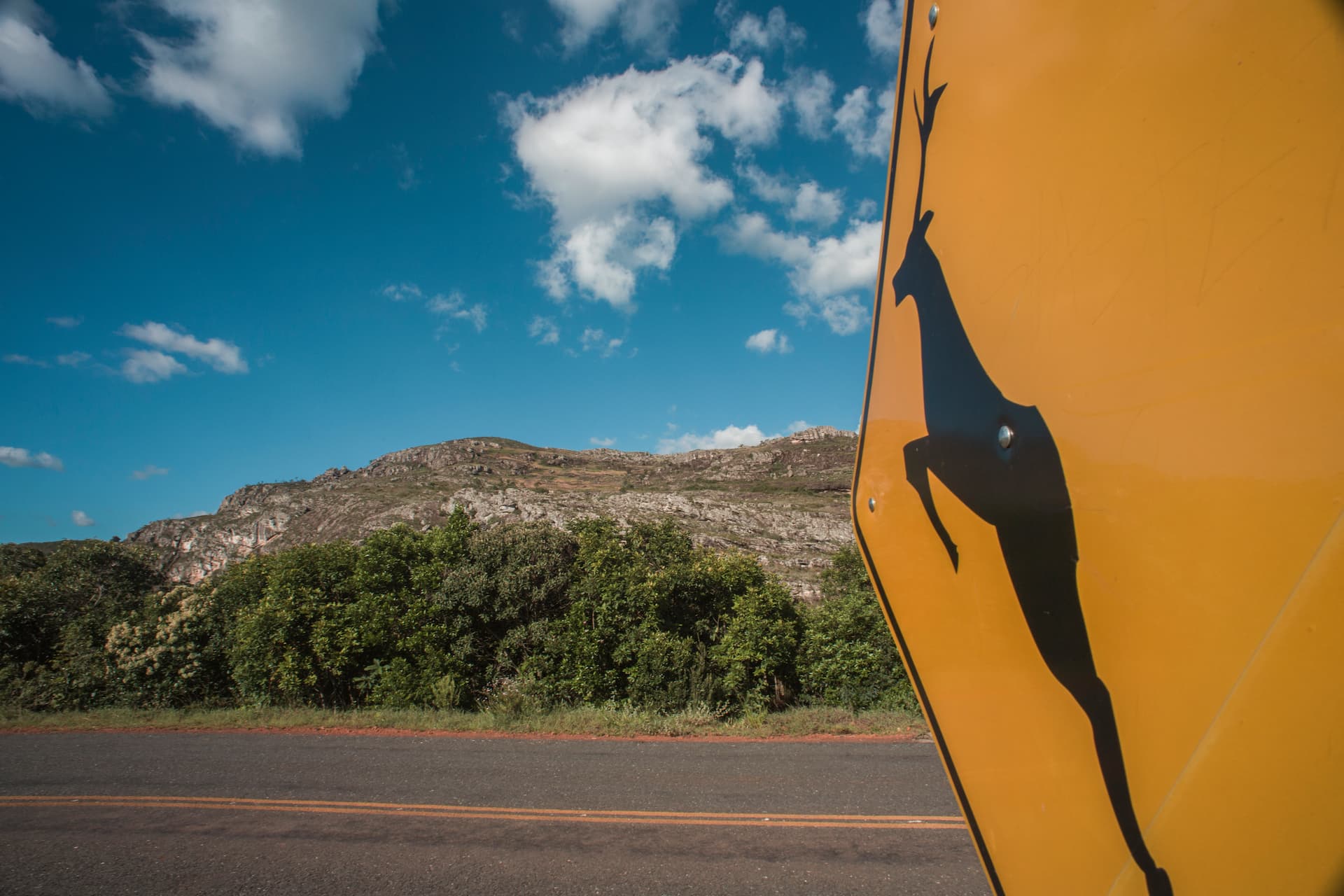 deer-road-sign-brazilian-countryside-serro-minas-gerais-brazil (1)