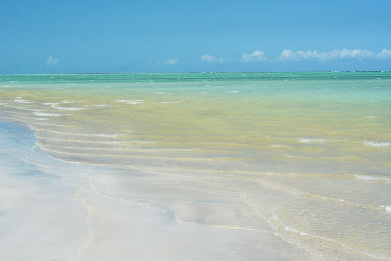 Águas cristalinas de Maragogi