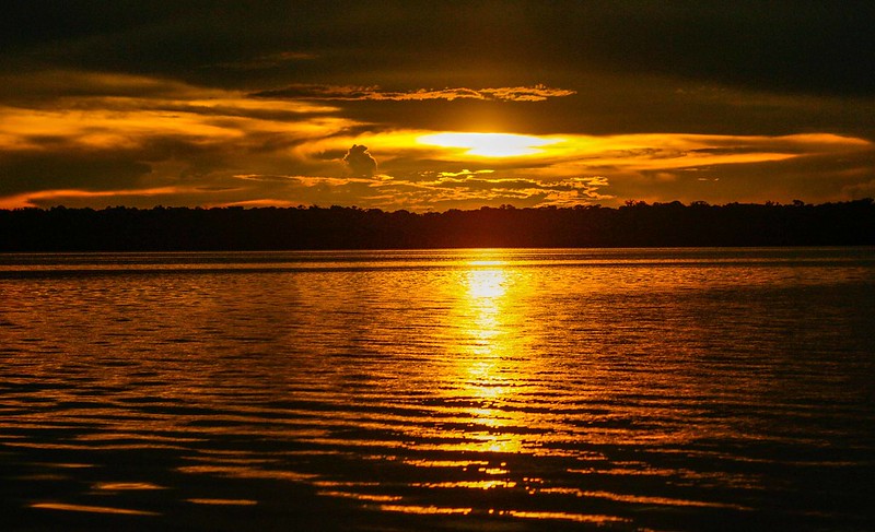 Resplendor do Parque Nacional do Jaú no pôr do sol