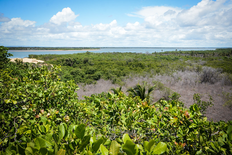 Foz do Rio São Francisco em PiaçabuçuAL