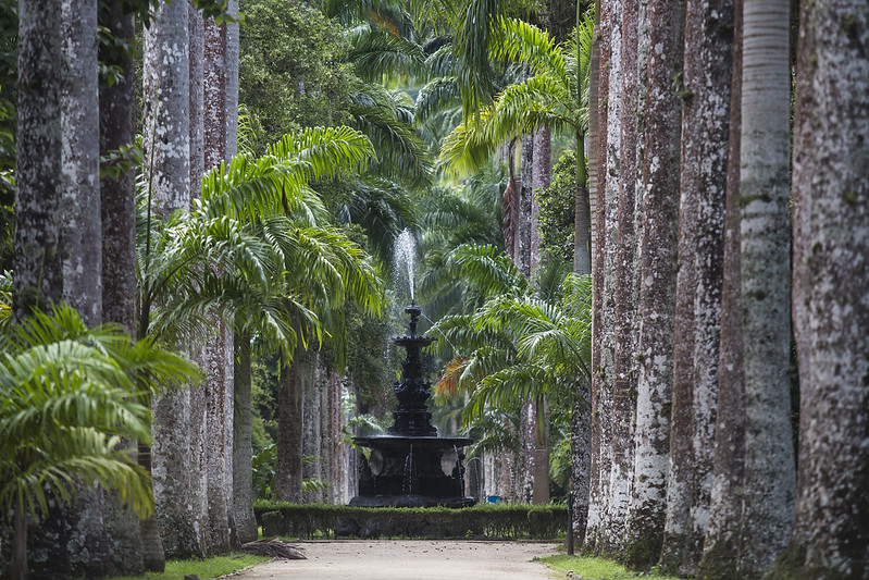 O Jardim Botânico é uma das visitas obrigatórias no Rio