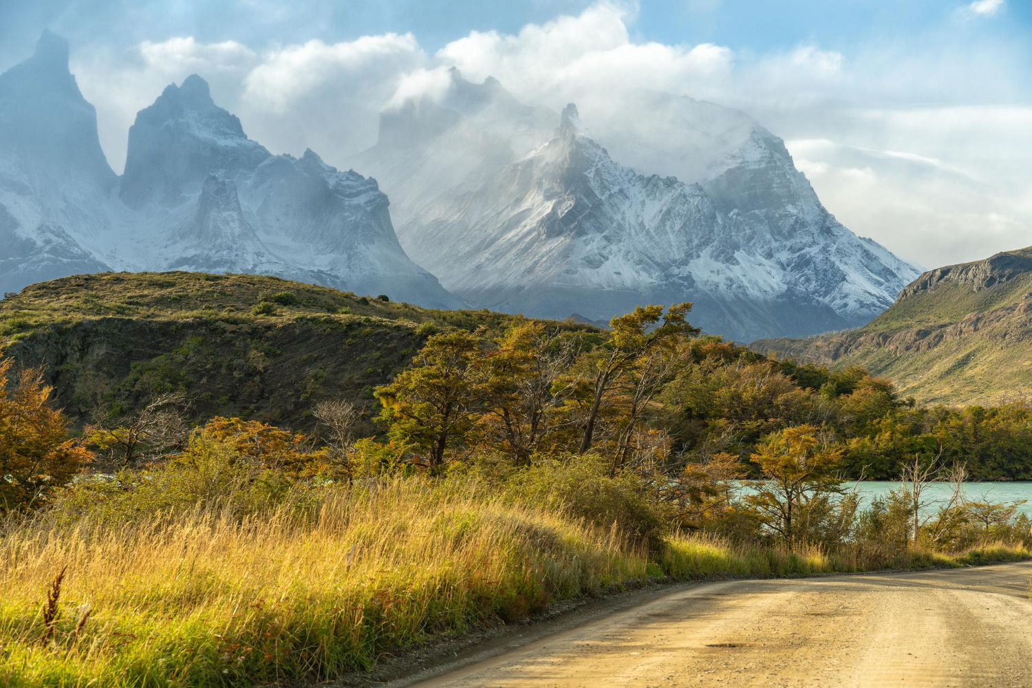 Parque Nacional Torres del Paine (Créditos larisa_voyageurFreepik)