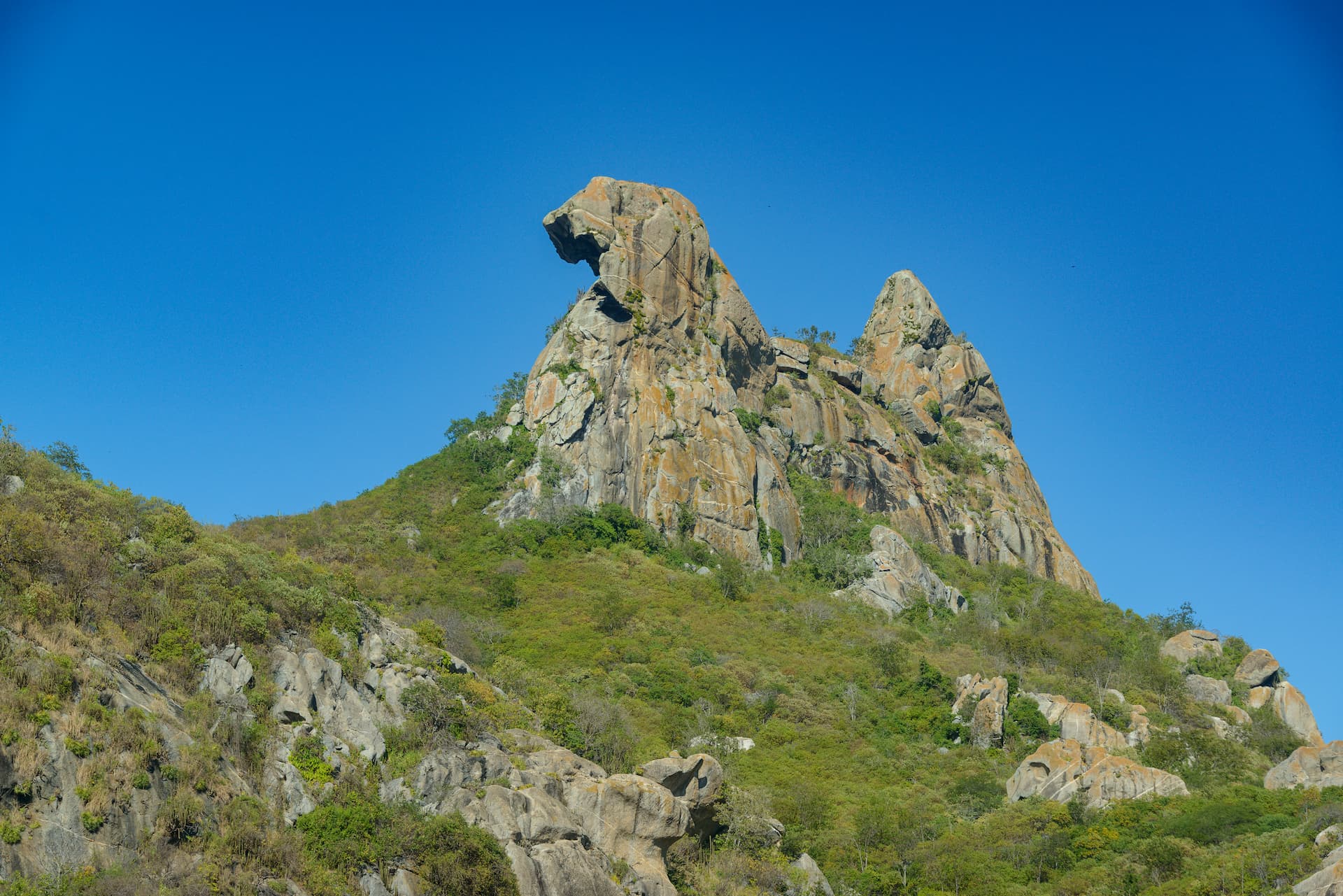 Pedra da Galinha Choca (Créditos Freepikcaciomurilo1)