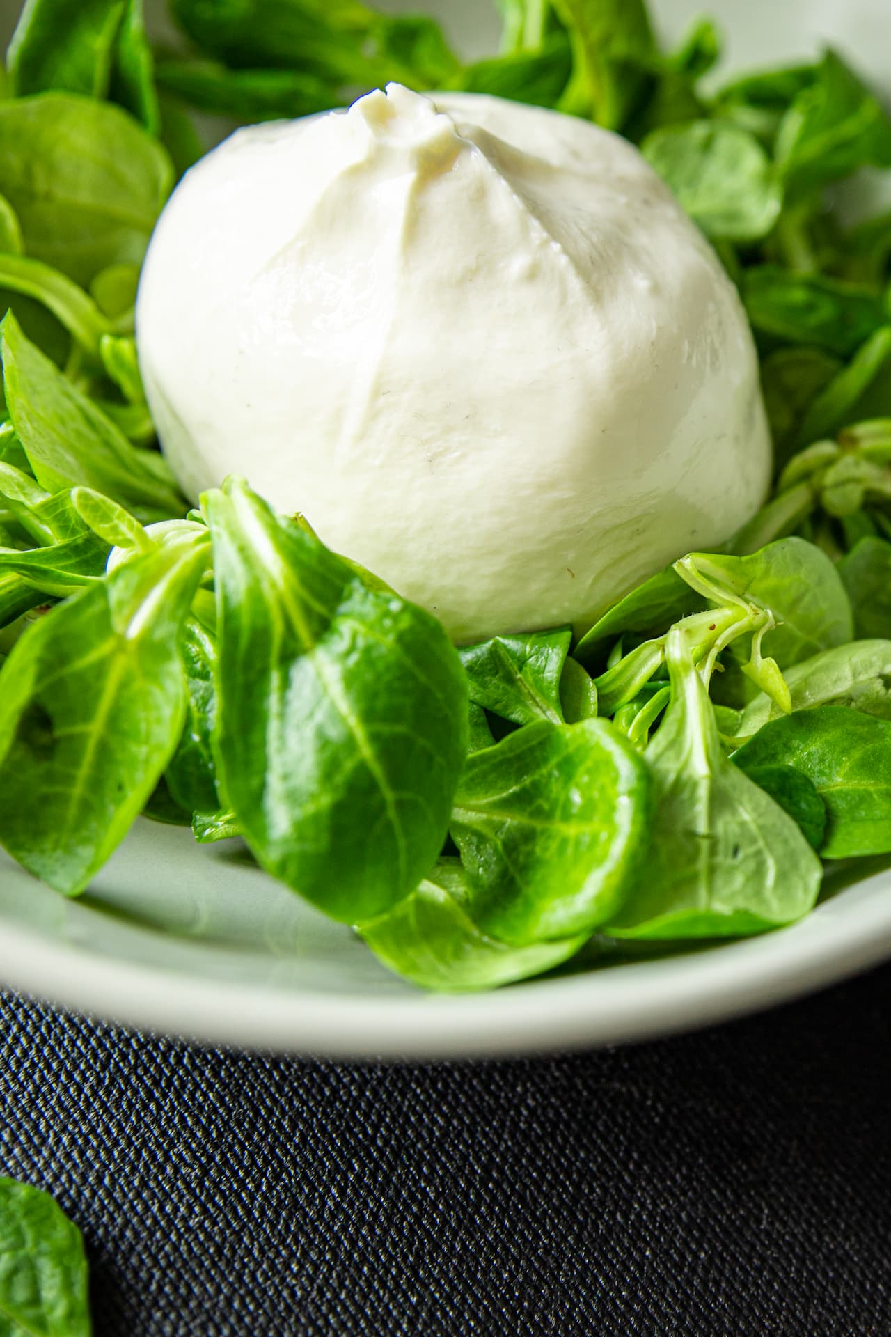 Burrata (Créditos Freepikuser11479153)