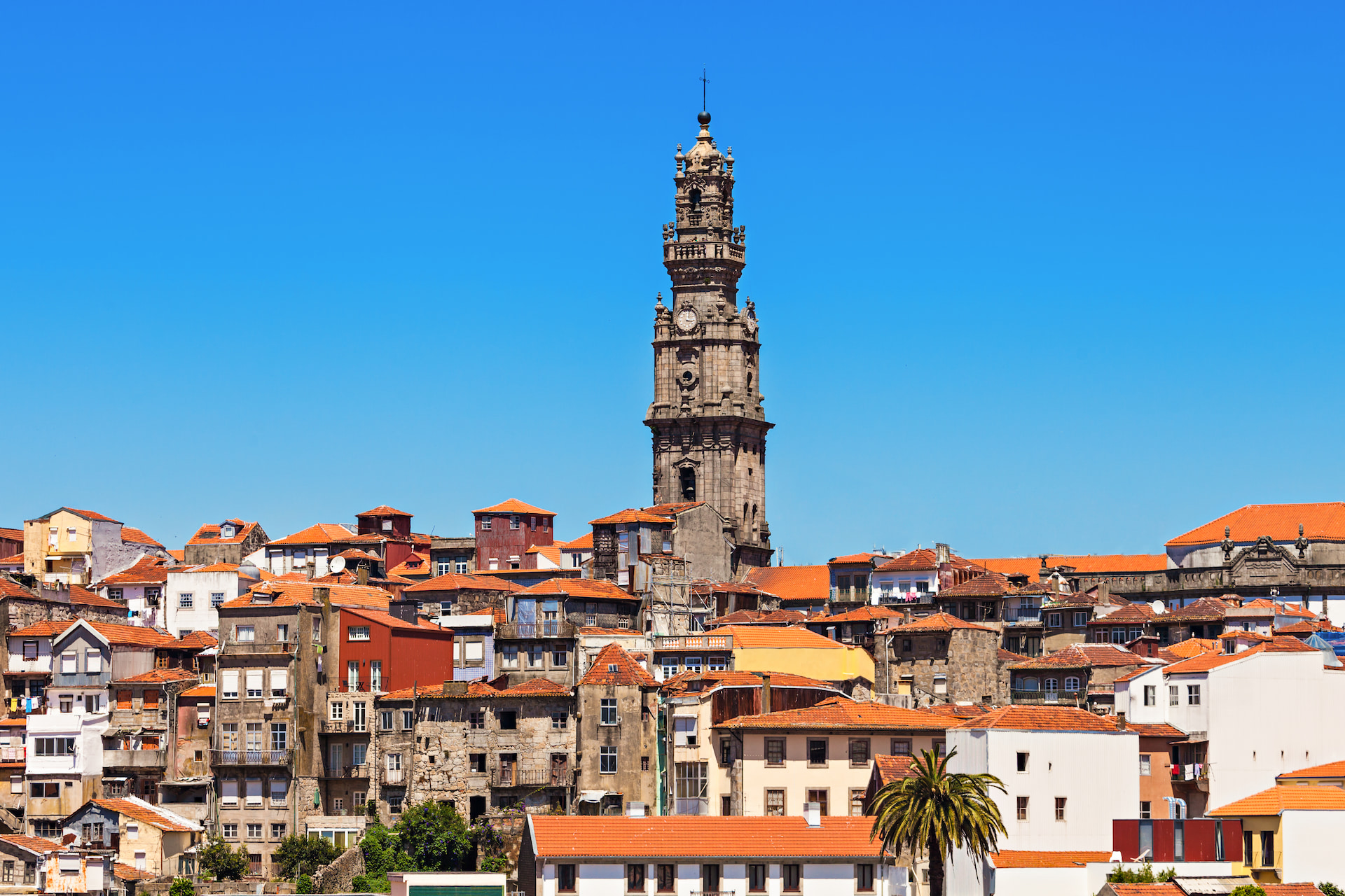 Porto é não é a mesma sem a Torre dos Clérigos. (Créditos Freepiksaiko3p)