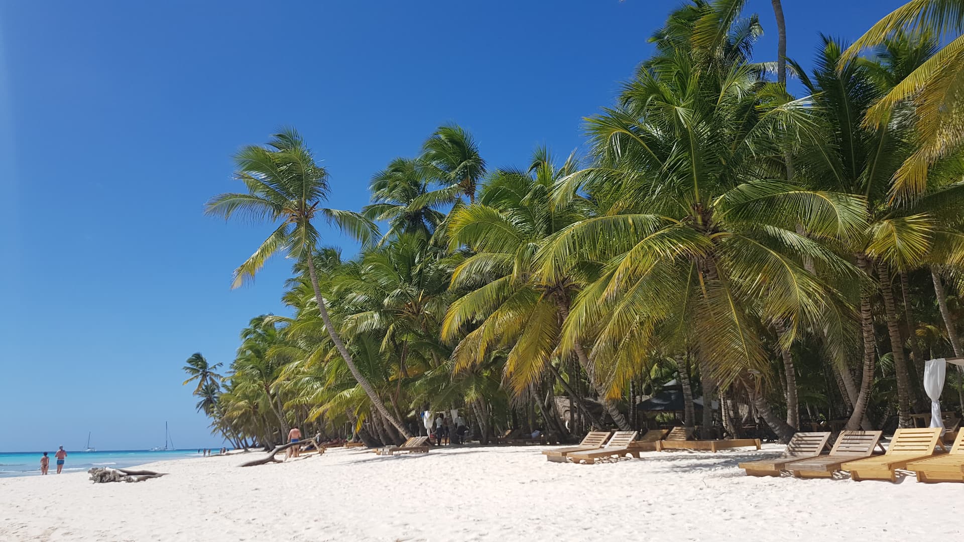 ilha-saona-de-punta-cana-praia-caribe