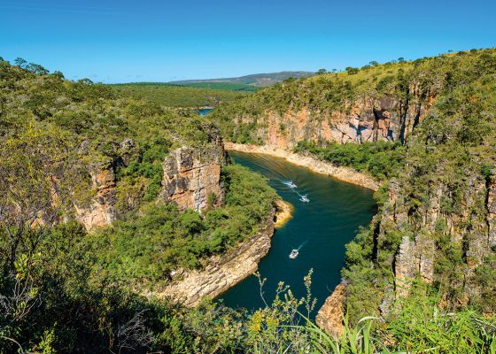 Um lugar com vegetação e um imenso lago no meio