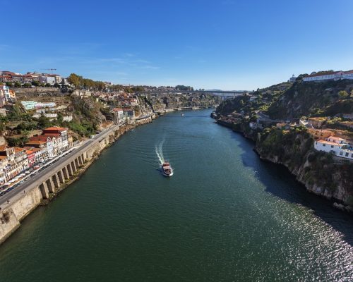 Créditos: Freepik/sergofoto