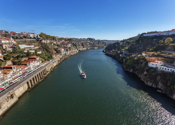 Créditos: Freepik/sergofoto