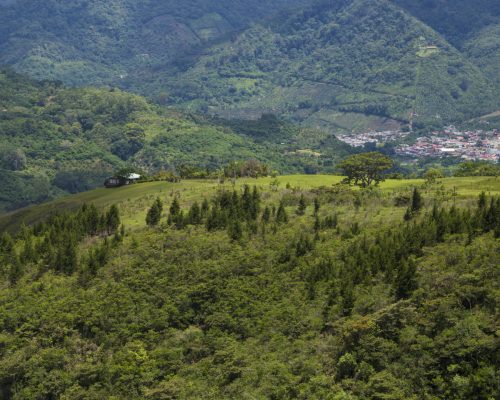 Créditos: Freepik/freepik