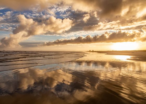 shutterstock_1657827850 (1)